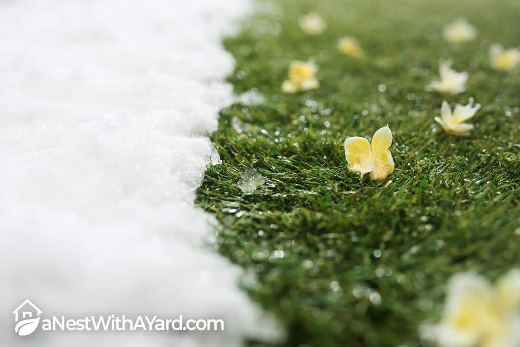 How To Keep Grass Green In Winter 2022